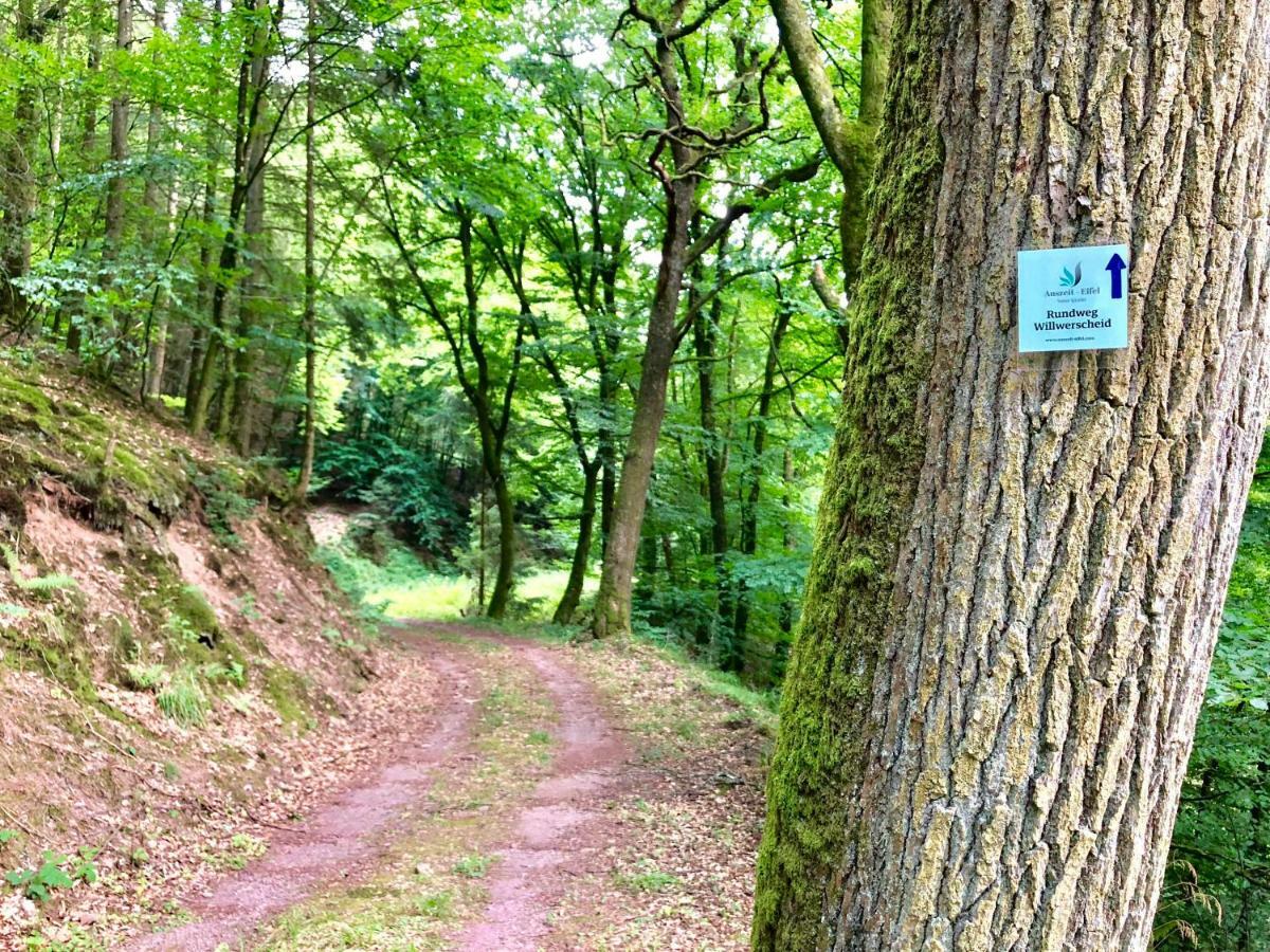 Auszeit-Eifel Eifelhaus "Burgass 1807" Sauna & Badezuber Willwerscheid Zewnętrze zdjęcie